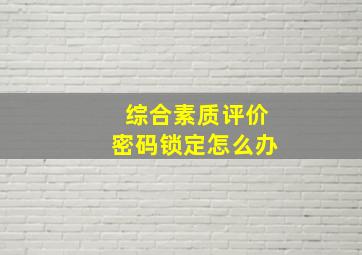 综合素质评价密码锁定怎么办