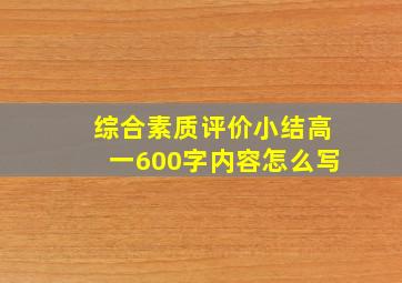 综合素质评价小结高一600字内容怎么写