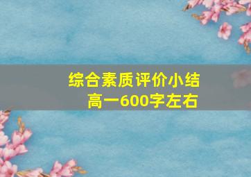 综合素质评价小结高一600字左右