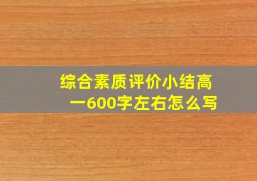 综合素质评价小结高一600字左右怎么写