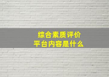 综合素质评价平台内容是什么