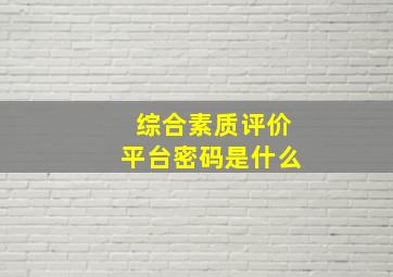 综合素质评价平台密码是什么