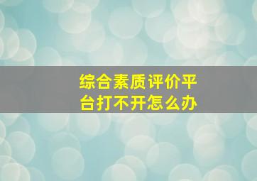 综合素质评价平台打不开怎么办