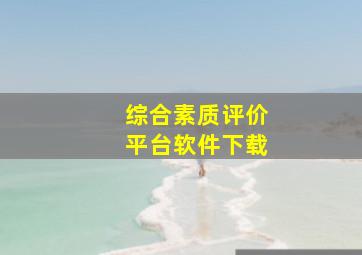 综合素质评价平台软件下载