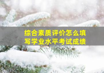 综合素质评价怎么填写学业水平考试成绩