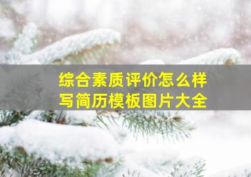 综合素质评价怎么样写简历模板图片大全