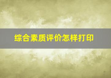 综合素质评价怎样打印