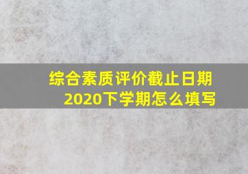 综合素质评价截止日期2020下学期怎么填写