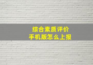 综合素质评价手机版怎么上报