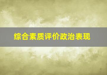 综合素质评价政治表现