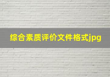 综合素质评价文件格式jpg