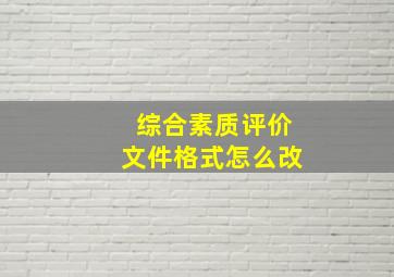 综合素质评价文件格式怎么改