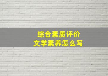 综合素质评价文学素养怎么写