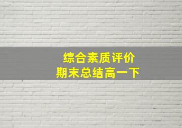 综合素质评价期末总结高一下