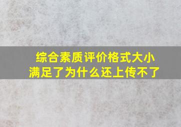 综合素质评价格式大小满足了为什么还上传不了