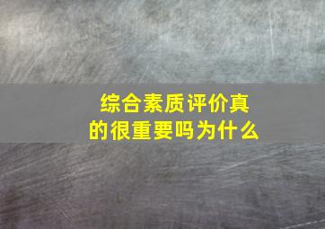 综合素质评价真的很重要吗为什么