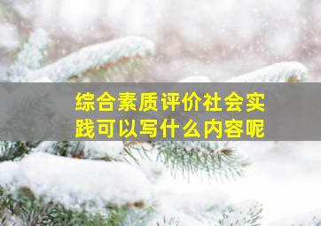 综合素质评价社会实践可以写什么内容呢