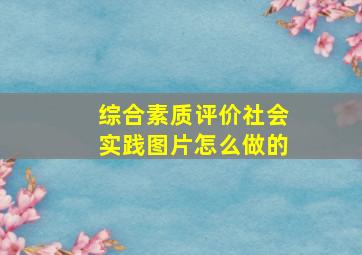 综合素质评价社会实践图片怎么做的