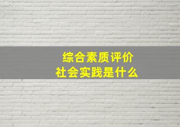 综合素质评价社会实践是什么