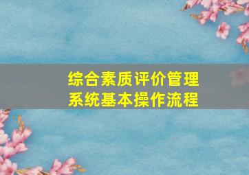 综合素质评价管理系统基本操作流程