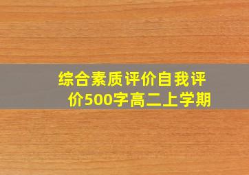 综合素质评价自我评价500字高二上学期