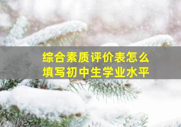 综合素质评价表怎么填写初中生学业水平