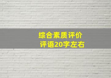 综合素质评价评语20字左右