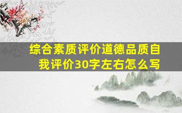 综合素质评价道德品质自我评价30字左右怎么写