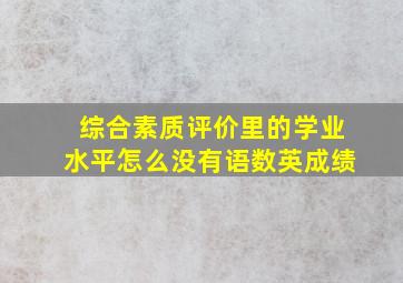 综合素质评价里的学业水平怎么没有语数英成绩