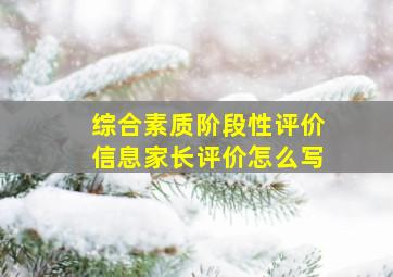 综合素质阶段性评价信息家长评价怎么写