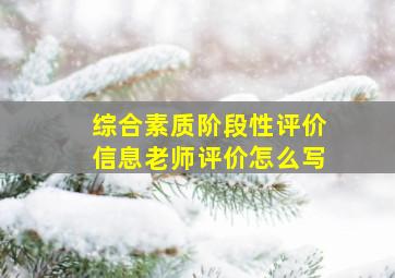 综合素质阶段性评价信息老师评价怎么写