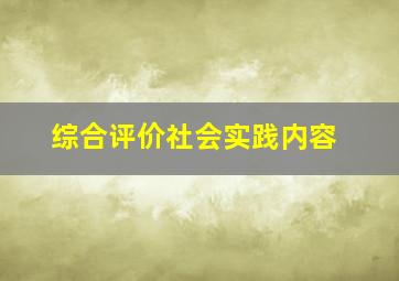 综合评价社会实践内容