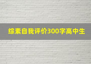 综素自我评价300字高中生