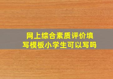 网上综合素质评价填写模板小学生可以写吗