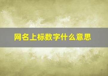 网名上标数字什么意思