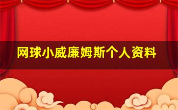 网球小威廉姆斯个人资料