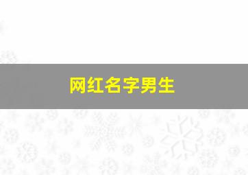 网红名字男生