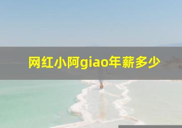 网红小阿giao年薪多少