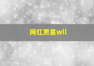 网红男星wll