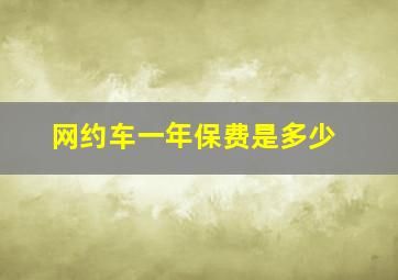 网约车一年保费是多少