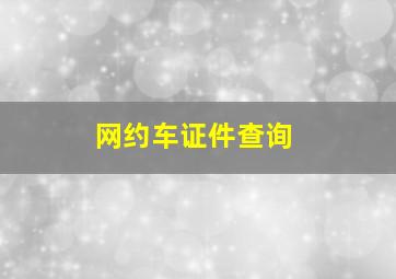 网约车证件查询