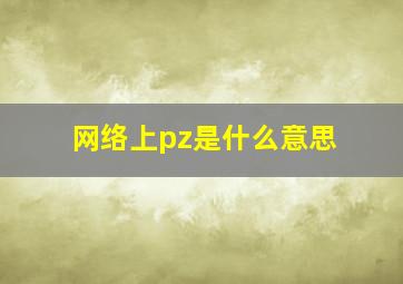 网络上pz是什么意思