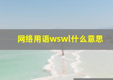 网络用语wswl什么意思