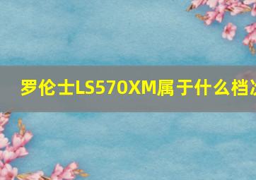 罗伦士LS570XM属于什么档次