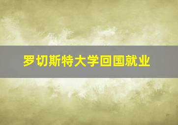 罗切斯特大学回国就业