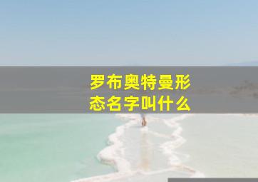 罗布奥特曼形态名字叫什么