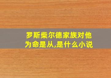 罗斯柴尔德家族对他为命是从,是什么小说