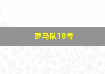 罗马队18号