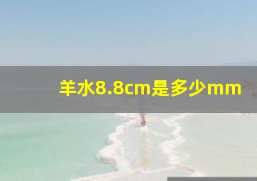 羊水8.8cm是多少mm