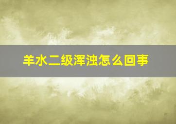 羊水二级浑浊怎么回事